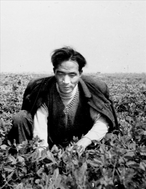 在蘭考期間，焦裕祿在田間勞動(dòng)的情景。