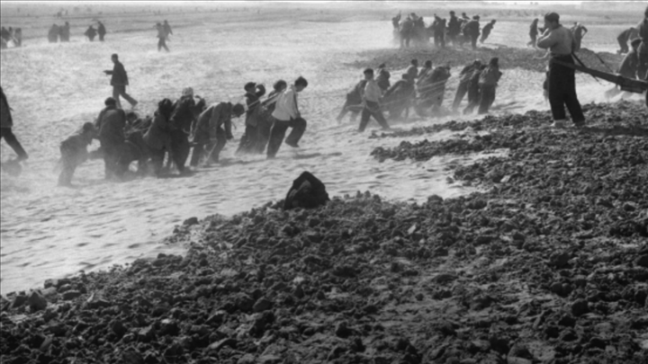 蘭考群眾在拉淤土壓沙。（新華社記者 鄧歷耕 攝）