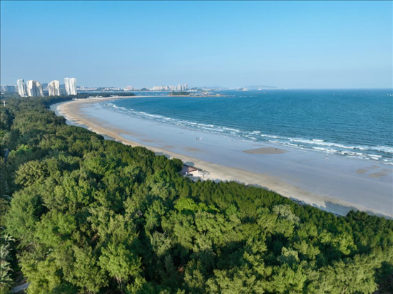 郁郁蔥蔥的東山縣沿海防護(hù)林（無(wú)人機(jī)拍攝）。新華社記者 姜克紅 攝