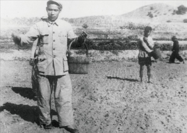 △ 谷文昌在福建省東山縣坑北村參加播種。