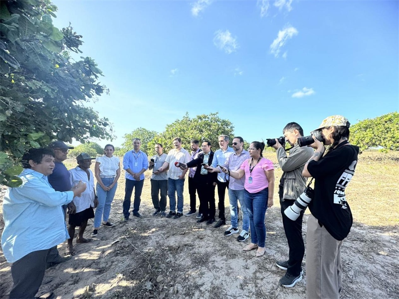 聯(lián)合采訪團(tuán)正在采訪中國企業(yè)在若昂卡馬拉市的扶貧開放項目 。孫佳攝