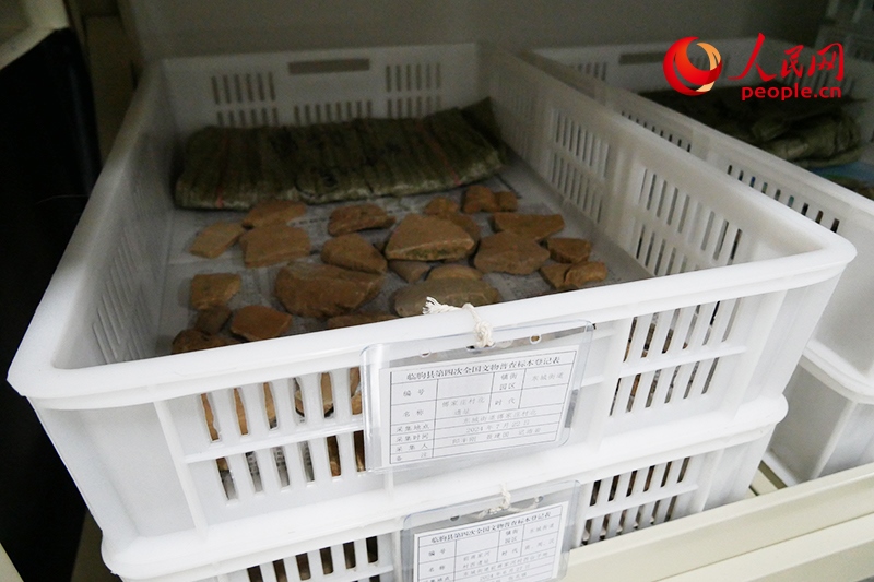 已經(jīng)整理完畢的文物標(biāo)本。人民網(wǎng)記者 韋衍行攝