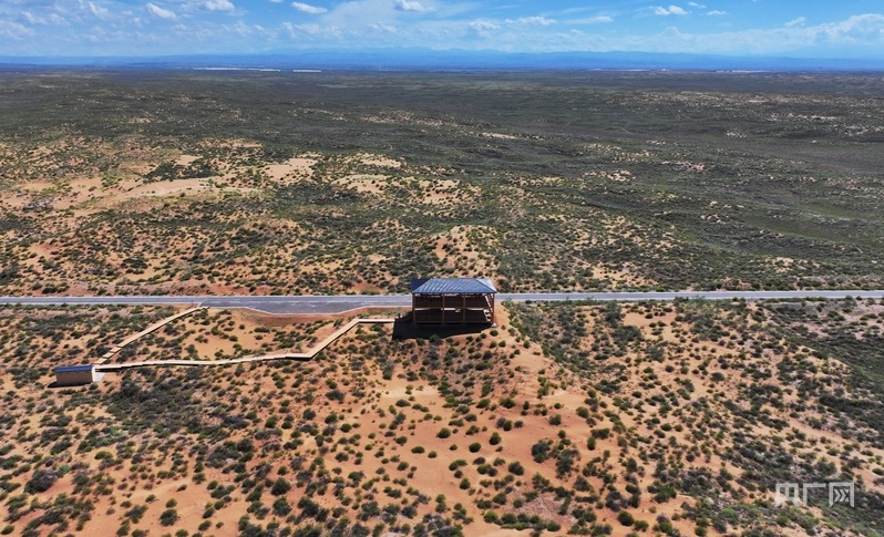 古浪縣一代代人治沙不息，讓綠色向沙漠深處不斷延伸（央廣網(wǎng)記者 李紅軍 攝）