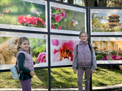 活動(dòng)現(xiàn)場(chǎng)。中國(guó)駐保加利亞大使館供圖。