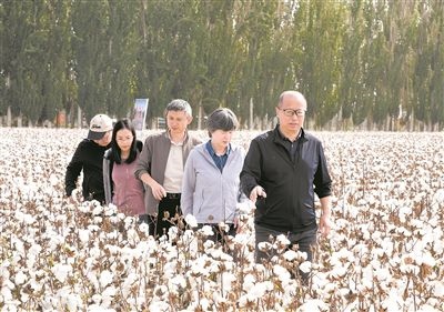 李召虎團隊成員在棉田了解試驗情況。 受訪單位供圖