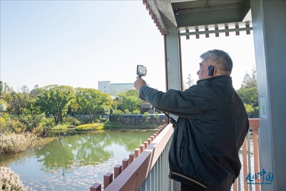 參觀白鷺園。環(huán)球網供圖
