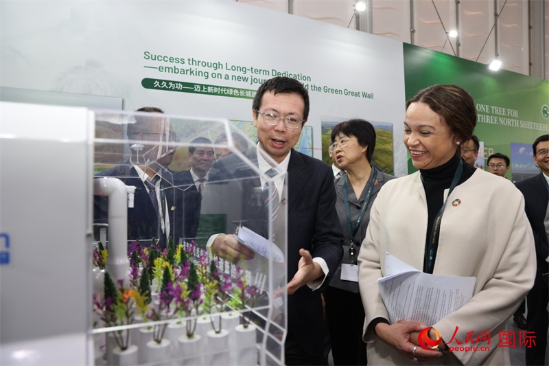 嘉賓參觀中國館。人民網(wǎng)記者任皓宇攝