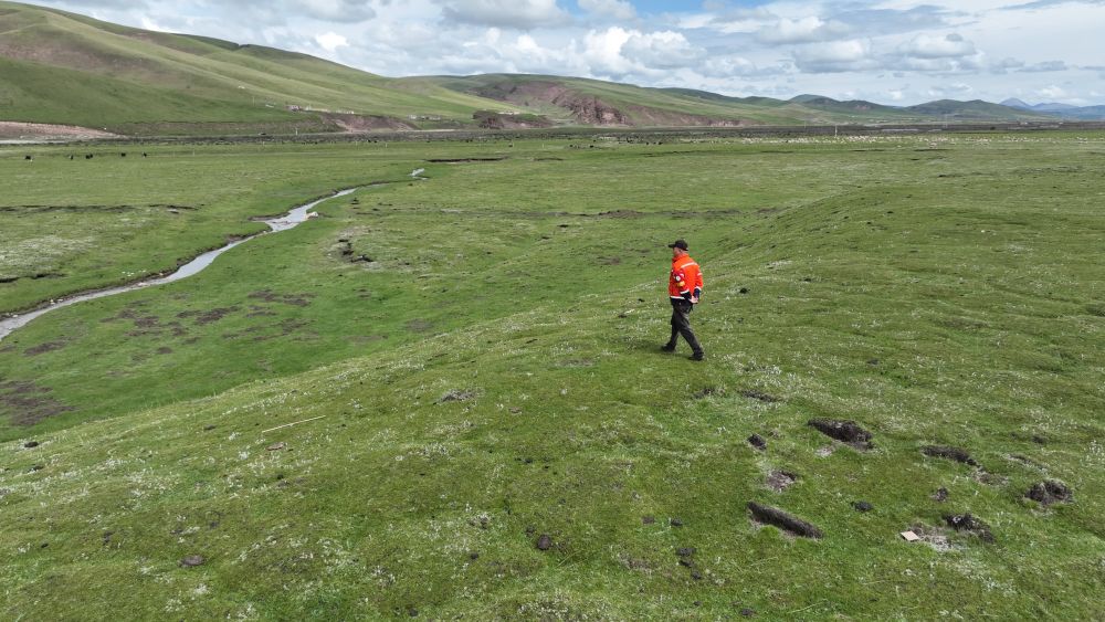 9月24日，生態(tài)管護(hù)員那瓦才郎在草場(chǎng)上巡護(hù)。（受訪者供圖）