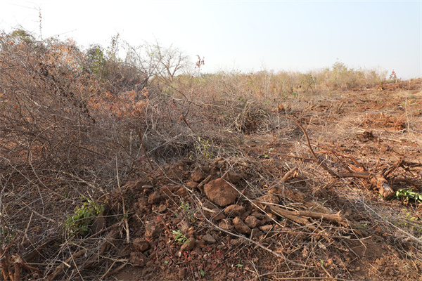 施工現(xiàn)場。張曉昆攝