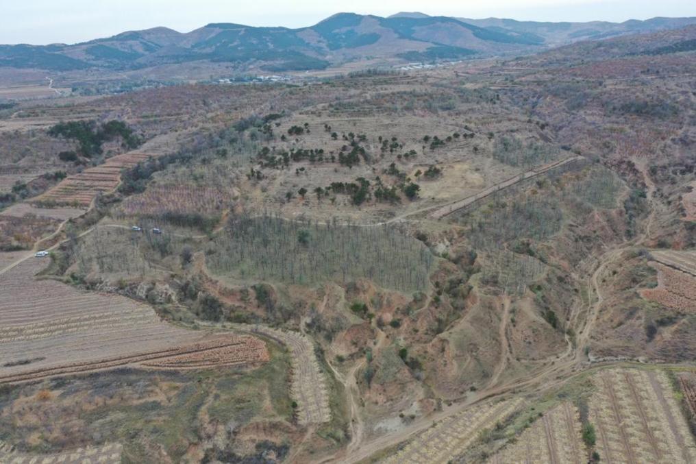 朝陽凌源無白丁遺址群（2024年11月23日攝）。新華社發(fā)（遼寧省文物考古研究院供圖）