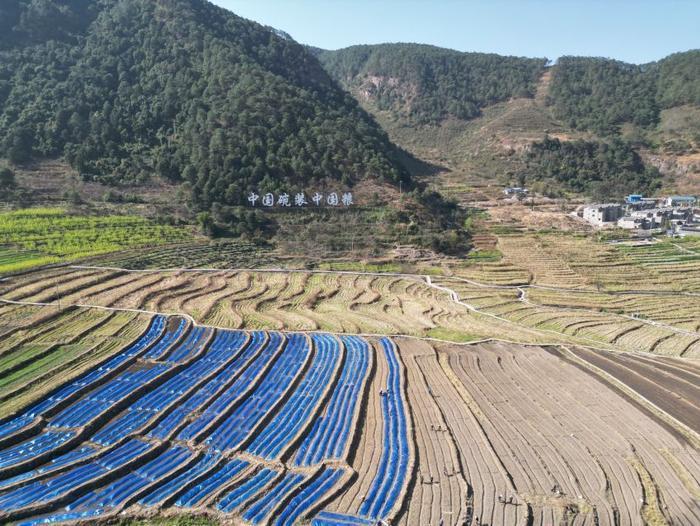 △近日，四川涼山一現(xiàn)代農(nóng)業(yè)園春耕育秧搶農(nóng)時。