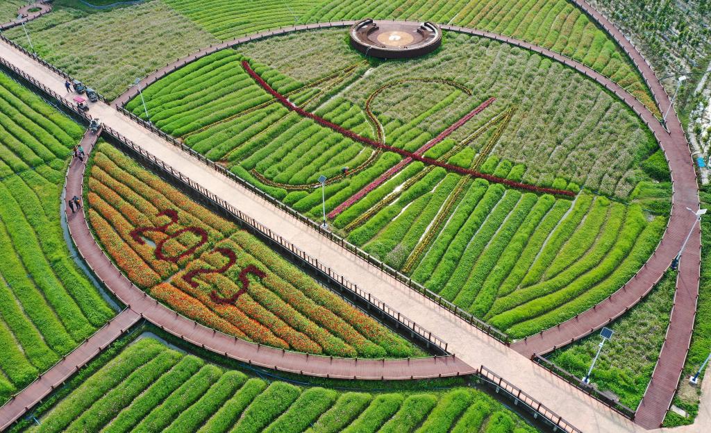 這是3月21日拍攝的瓊海博鰲南強(qiáng)村景色（無人機(jī)照片）。新華社記者 郭程 攝