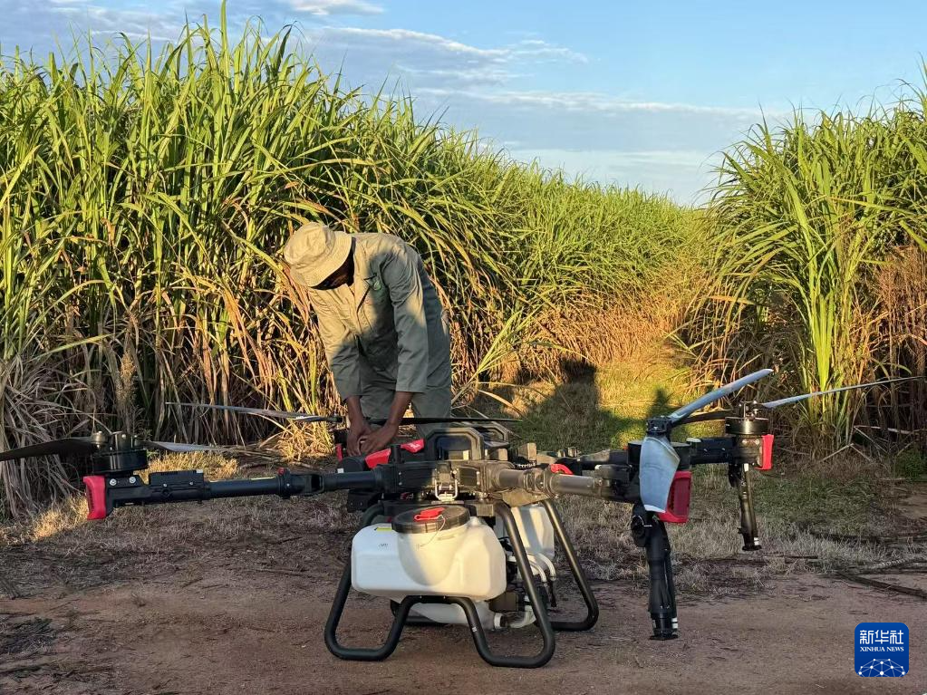 3月25日，在南非夸祖魯-納塔爾省的方廷希爾莊園，工作人員為無(wú)人機(jī)做起飛作業(yè)前的準(zhǔn)備。新華社記者 白舸 攝