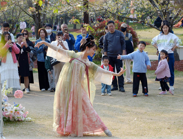 清明假期期間，上海顧村公園櫻花島上，游客在觀賞國風(fēng)漢服快閃表演。（圖片來源：視覺中國）
