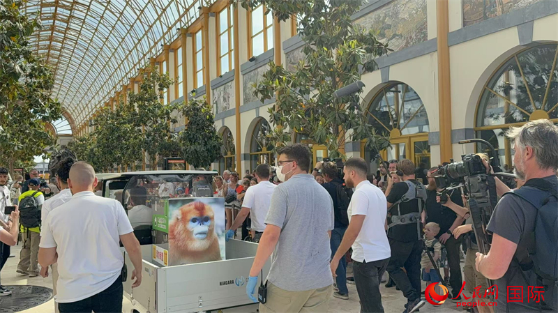 圖為活動(dòng)現(xiàn)場(chǎng)。人民網(wǎng)記者 牛瑞飛攝